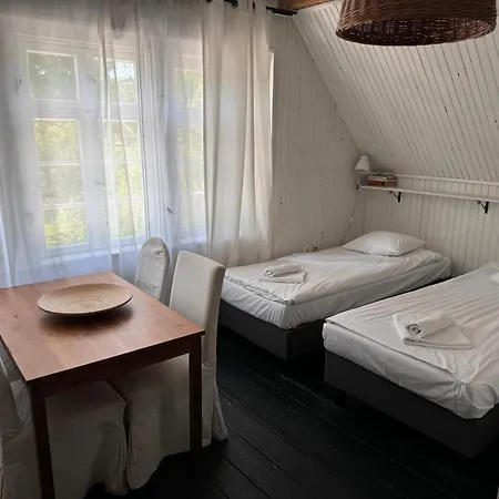 Siwa Czapla Gizycko