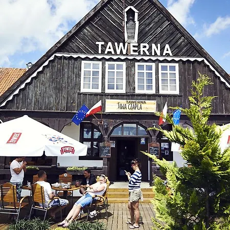 Siwa Czapla Giżycko