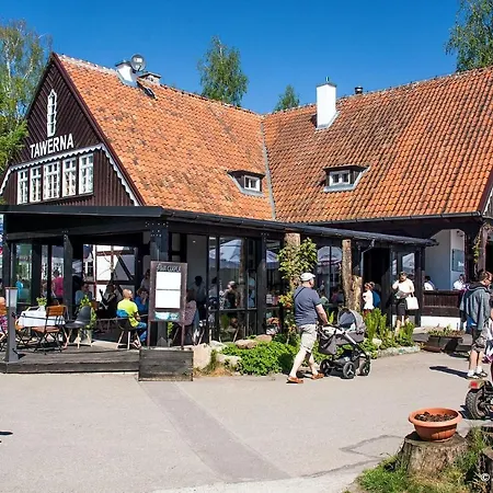 Siwa Czapla *